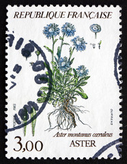 Postage stamp France 1983 Aster Montanus Coeruleus, Flowering