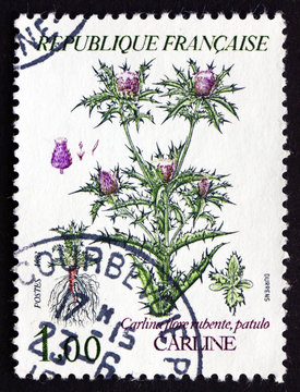 Postage stamp France 1983 Thistle, Cynareae, Flowering Plant
