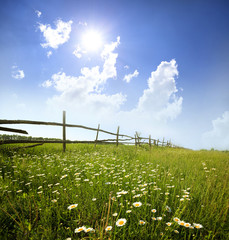 Obraz premium landscape