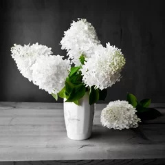 Photo sur Plexiglas Hortensia Bouquet de fleurs d& 39 hortensia blanc sur fond grunge sombre.