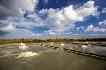 marais salants avec gros sel de Guérande