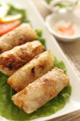 vietnamese food, gourmet spring roll