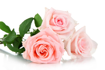 Fototapeta na wymiar Beautiful bouquet of roses isolated on white