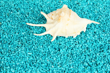 Obraz na płótnie Canvas Shell on blue crystals of sea salt background