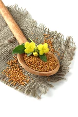 Foto op Plexiglas Mustard seeds in wooden spoon with mustard flower isolated © Africa Studio