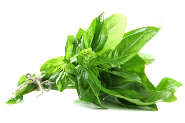 Fresh basil, isolated on white