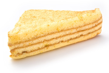 homemade sandwich shape sponge cage on white