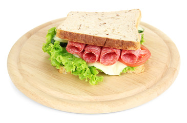 Tasty sandwich with salami sausage and vegetables