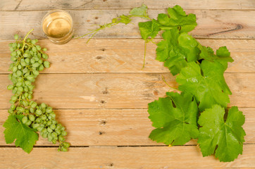 Grapes and wine background