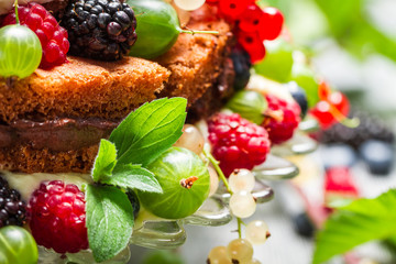 Closeup of fresh wild berry fruits in a cake