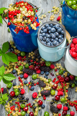 Collecting fresh wild berries