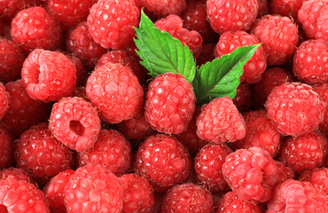 Ripe sweet raspberries, close up