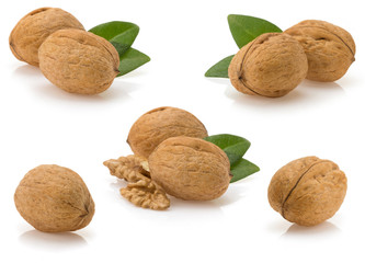 walnuts on white background