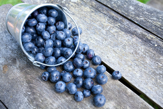 blueberries in a metallic bucket