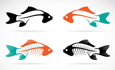 Vector image of an fish bones