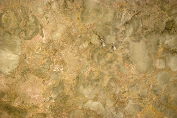 Decorative wall tiles with fossil effect gray and beige marble