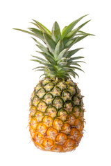 pineapple