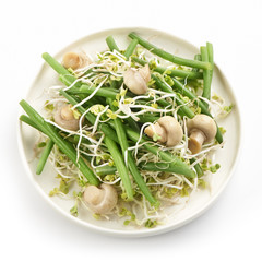 fresh haricot vert salad with radish sprout and mushrooms