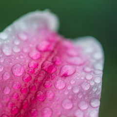 Textured Raindrops