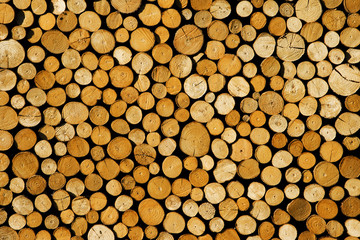 Brennholz