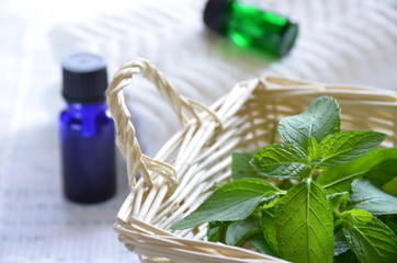 Obraz premium essential oils with mint