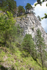 Kvacianska dolina - valley in region Liptov, Slovakia