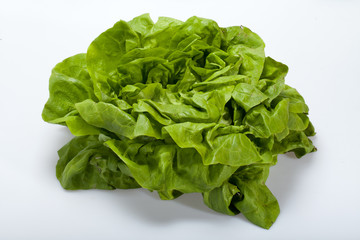 Fresh green Lettuce salad isolated on white background