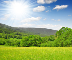 national park Sumava - Czech Republic