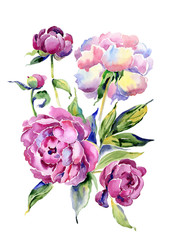 Watercolor bouquet of peonies
