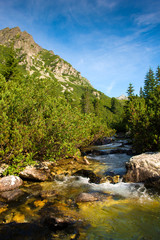 Naklejka na ściany i meble Mountain river in High Tatras in Slovakia