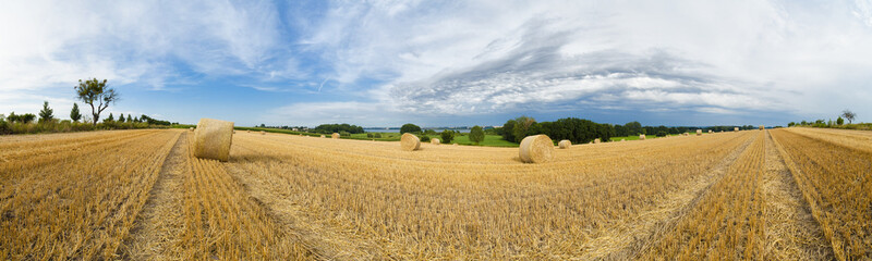 Fototapeta premium Strohballen auf einem Feld in der Uckermark im Land Brandenburg