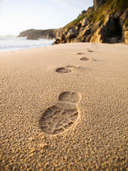 Footprints in the sand of the beach.