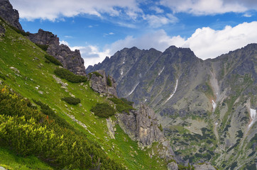 Naklejka premium Ridge