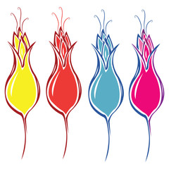 tulip