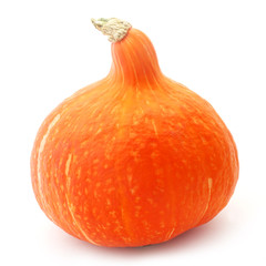 Pumpkin - 55014070