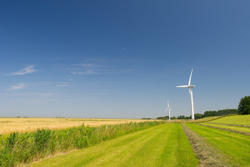 Fototapeta na wymiar Wind Turbines in agriculture landscape