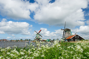 Windmills at Dutch Zaanse Schans