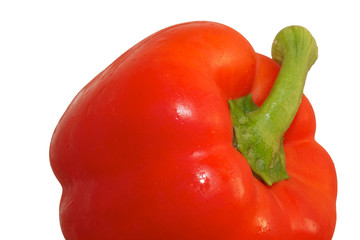 Paprika rot