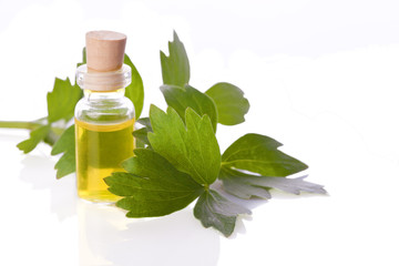 lovage herb essence homeopathy liquid