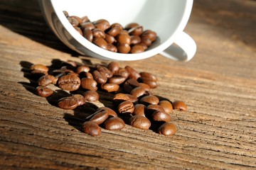 Roasted coffee beans