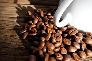 Roasted coffee beans