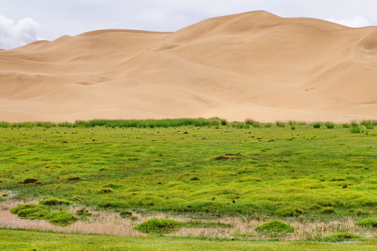 The Gobi Desert, Mongolia