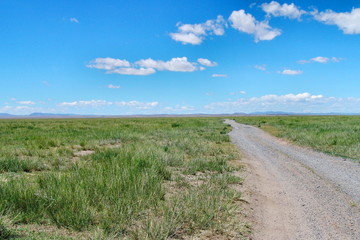 Fototapeta na wymiar Mongolian wild landscape
