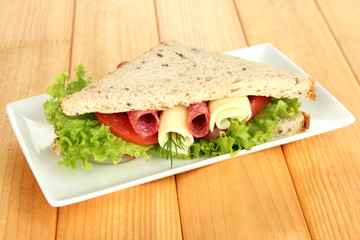 Tasty sandwich with salami sausage and vegetables
