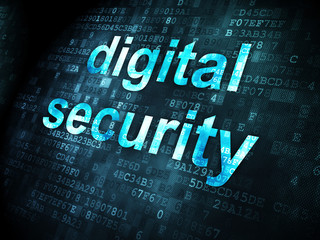 Obraz premium Privacy concept: Digital Security on digital background