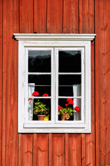 White window with red flowers