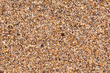 small sea stones background texture