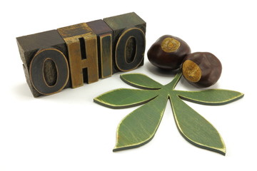 State of Ohio vintage letter press, buckeye leaf and buckeyes