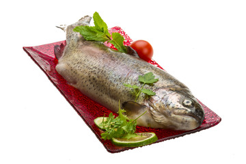 Fresh raw rainbow trout
