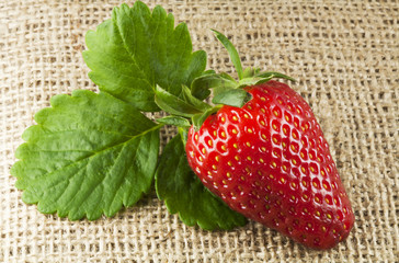 Una Fragola